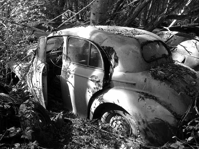 Autofriedhof - 170.JPG - Historischer Autofriedhof,    Gürbetal (CH)